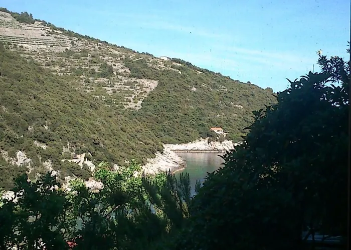 Seaside Secluded Cove Pavija Luka, Korcula - 12758 * Zrnovo